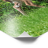 フェンスの前で顔を出す フォトプリント (角)