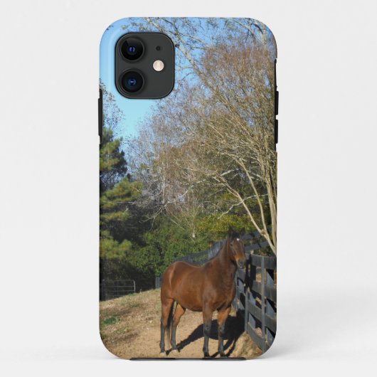 フェンスの前の茶色の馬 Case-Mate iPhoneケース (裏面)