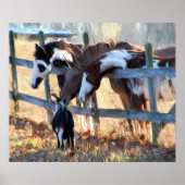 フェンスの友 ポスター (正面)