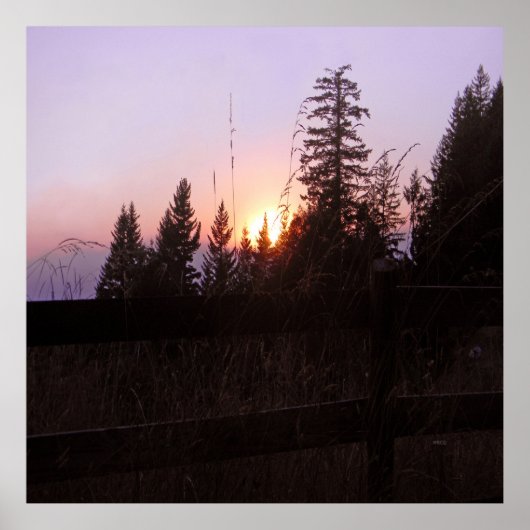 フェンスの向こうに… ポスター (正面)