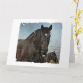 フェンスの後ろの馬 カード (黄色い花)