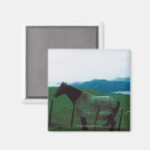 フェンスの後ろの馬 マグネット (正面/裏面)