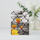 フェンスの後ろや劇的な空の下に閉じ込められる ポストカード (スタンド正面)