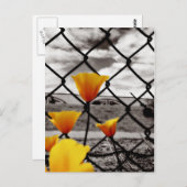フェンスの後ろや劇的な空の下に閉じ込められる ポストカード (正面/裏面)