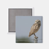 フェンスの柱に座る穴ぐきフクロウ。撮影 マグネット (正面/裏面)