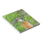 フェンスの柱に止まる青い鳥 ノートパッド (アングル)