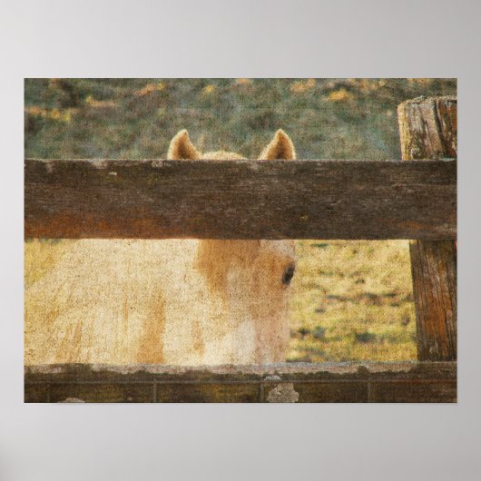 フェンスを通して見る ポスター (正面)