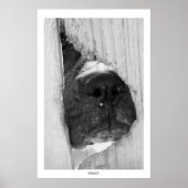 フェンスを通って ポスター (正面)