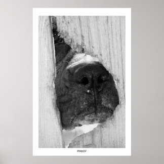 フェンスを通って ポスター