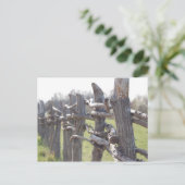 フェンスイン ポストカード (スタンド正面)