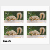 フェンスステッカーのリス 長方形シール (シート)