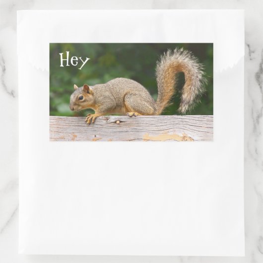 フェンスステッカーのリス 長方形シール (バッグ)