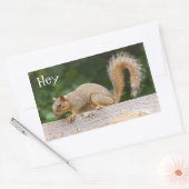 フェンスステッカーのリス 長方形シール (封筒)