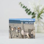 フェンスビーチのシェルのナータケット ポストカード (スタンド正面)