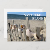 フェンスビーチのシェルのナータケット ポストカード (正面/裏面)