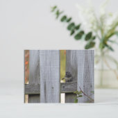 フェンスユンコ ポストカード (スタンド正面)