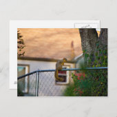 フェンスリス ポストカード (正面/裏面)