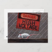 フェンス上のラット高電圧標識はがき ポストカード (正面/裏面)