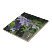 フェンス上のラベンダークレマチスフラワー自然 タイル (側面)