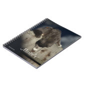 フェンス上の猫(18) ノートブック (左側)