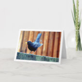 フェンス上の黒い鳥 カード (正面)