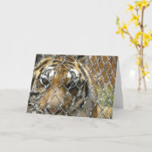 フェンス付きタイガーの誕生日カード(h) カード (黄色い花)