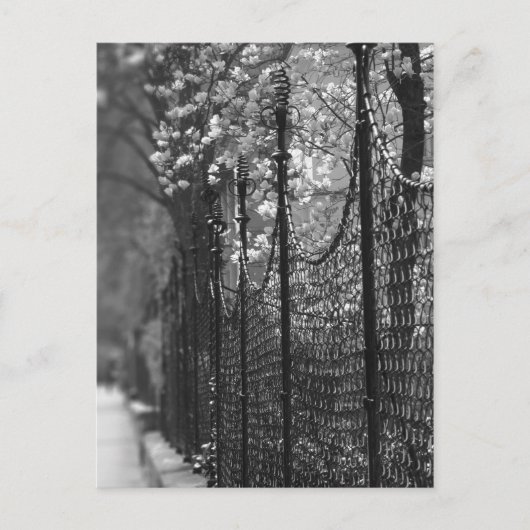フェンス付き庭園はがき ポストカード (正面)
