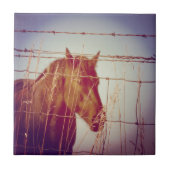 フェンス抽象芸術馬の後ろ タイル (正面)