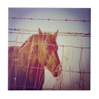 フェンス抽象芸術馬の後ろ タイル