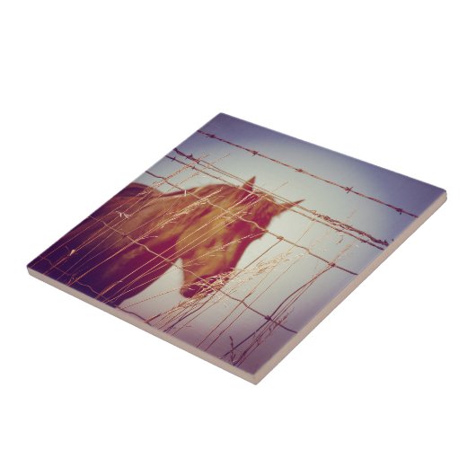 フェンス抽象芸術馬の後ろ タイル (側面)