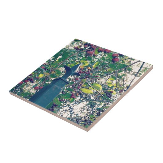 フェンス柱 タイル (側面)