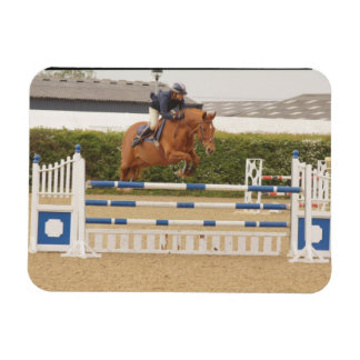 フェンス用可撓磁石の上に乗る馬 マグネット
