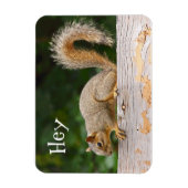 フェンス磁石のリス マグネット (縦)