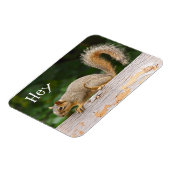 フェンス磁石のリス マグネット (左側)