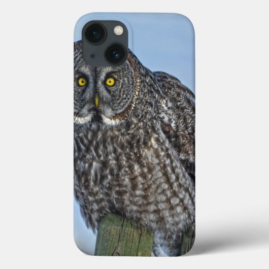 フェンス素晴らしの上に灰色のフクロウ野生動物写真ポートレート Case-Mate iPhoneケース (裏面)