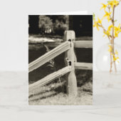 フェンス素朴ノテカード カード (黄色い花)