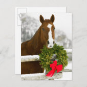 フェンス越しに見える馬 ポストカード (正面/裏面)