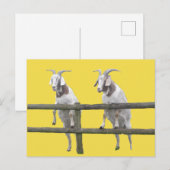 フェンス越しに見える2頭のヤギ ポストカード (正面/裏面)