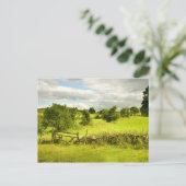 フェンス、フィールドとMeadowsweet ポストカード (スタンド正面)