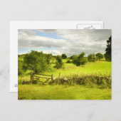 フェンス、フィールドとMeadowsweet ポストカード (正面/裏面)