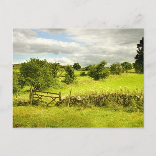 フェンス、フィールドとMeadowsweet ポストカード (正面)