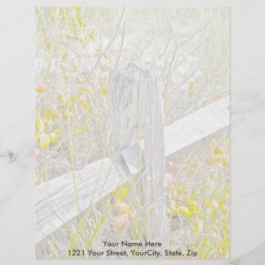 フェンス&ポイズンアイビーIBSPレターヘッド レターヘッド (正面)