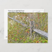 フェンス&ポイズンアイビーIBSP NJ調整項目 ポストカード (正面/裏面)