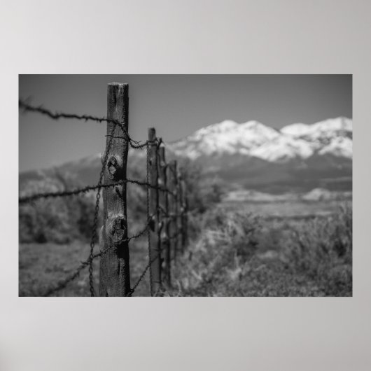 フェンス ポスター (正面)