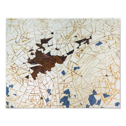 フェンダー熱 フォトプリント            (正面)