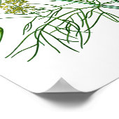 フェンネルハーブボタニカルイラストレーションキッチンデコール ポスター (角)