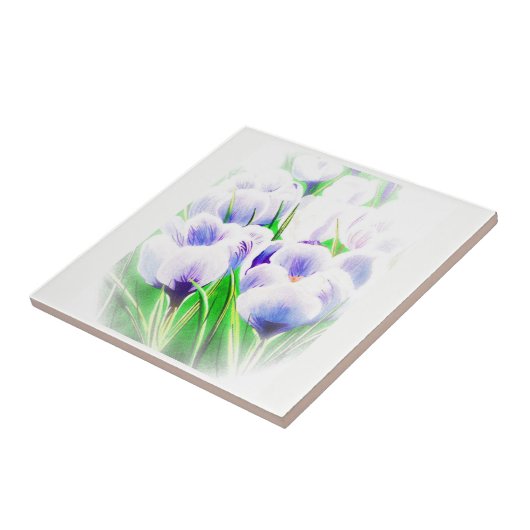 フェージングCrocus TiLe タイル (側面)