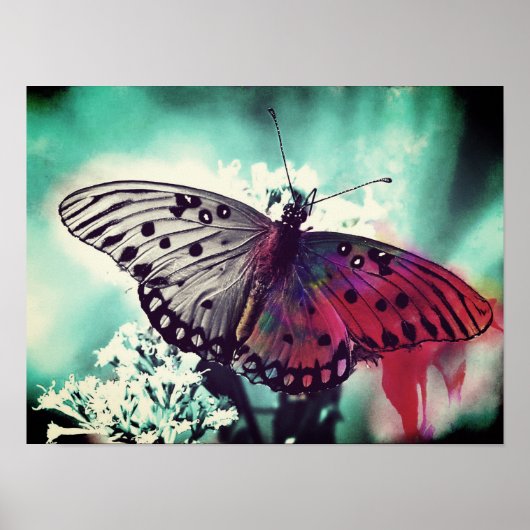 フェーディングカラー ポスター (正面)