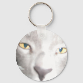 フェードキリ遠くにービーカート キーホルダー