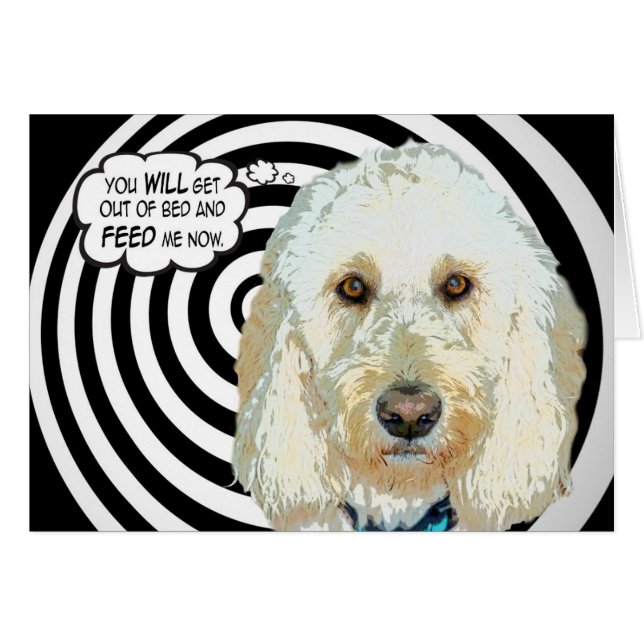 フェード・ミー！ (正面横)